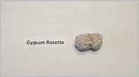 Gypsum Rosette.jpg
